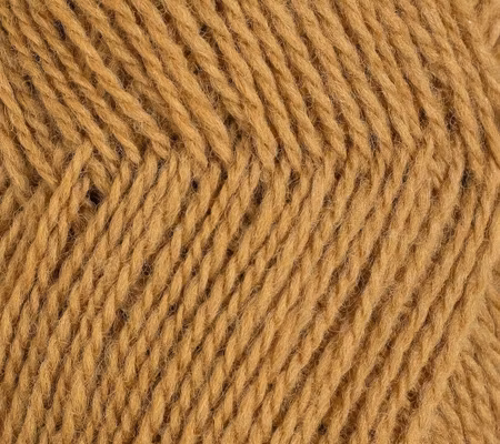 Finull-4067-Kamelbrun