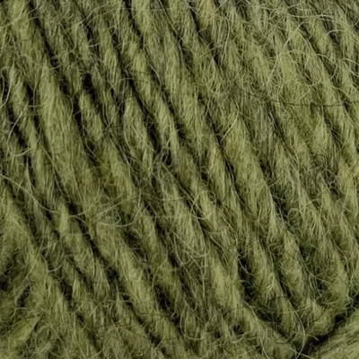 Alafoss lopi-Verdant 2630