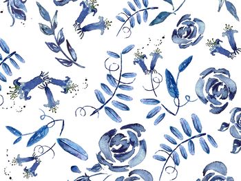 Coastline - Blue Cottage Rose