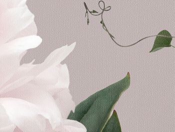 Peony