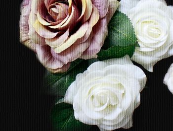 Florry