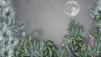 In the wild - jungle
