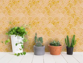 Fishscale Marble Mild Mustard