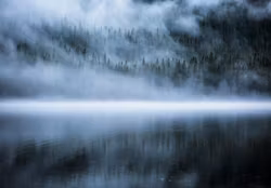 Scandinavian Nature - Dancing Fays
