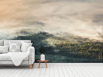 Scandinavian Nature - Morning Woods