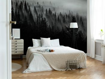 Scandinavian Nature - Misty Trees