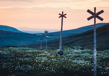 Scandinavian Nature - Ledkryss