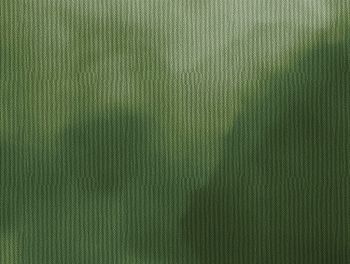 Nelly - Green earth