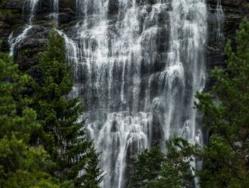 Scandinavian Nature - Vattenfall med träd