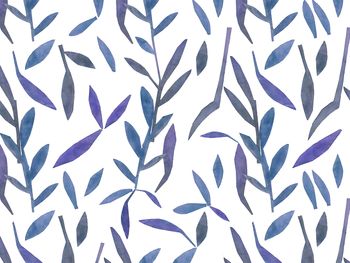 Coastline | Leaves
