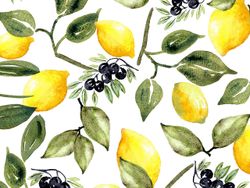The gardener - Citrus