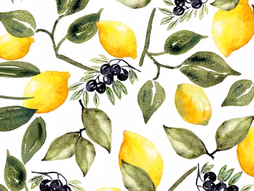 The gardener - Citrus