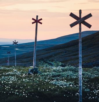 Scandinavian Nature - Ledkryss - skräddarsydd Lindroth