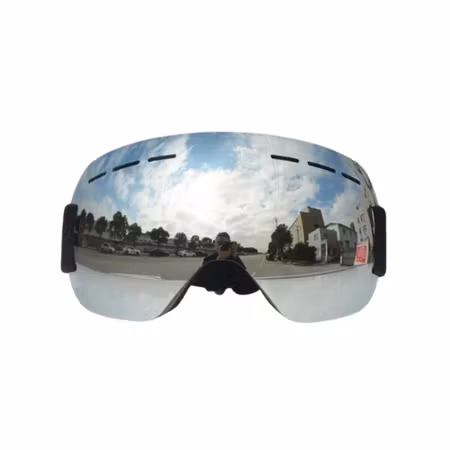 Brills Ski Googles Silver