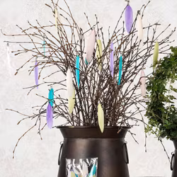 Mix fjädrar  - Chic