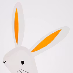 Tallrikar - Magic Bunny