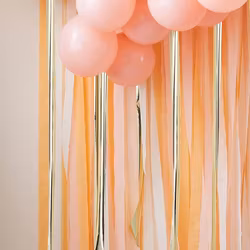 Backdrop - Streamer - Peach