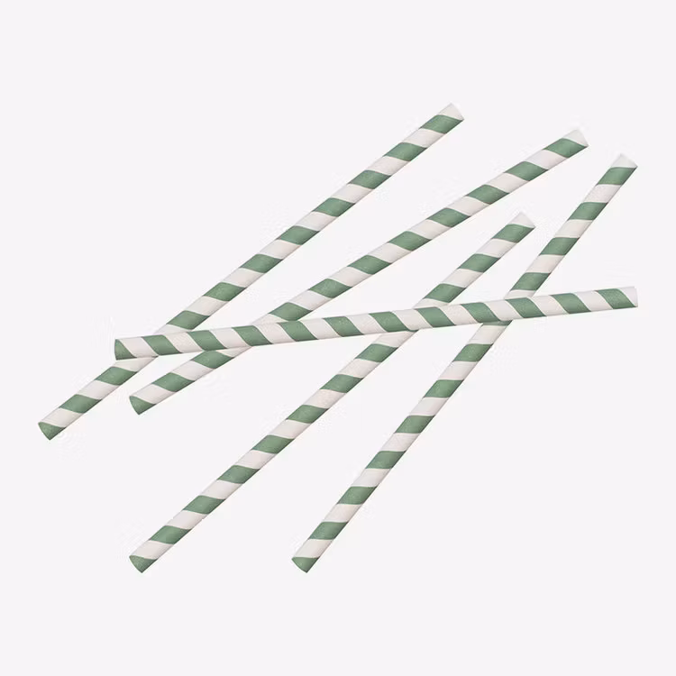 Sugrör - Eco - Eucalyptusgrön