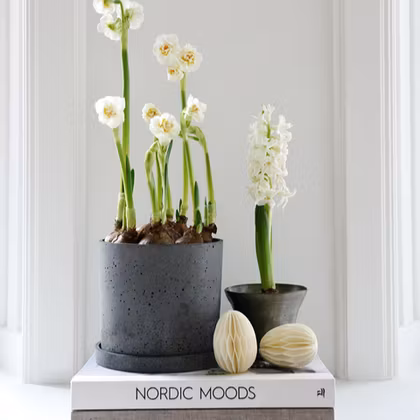 Honeycomb ägg - Off white