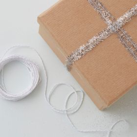 Silverglitter & Bakers Twine Kit