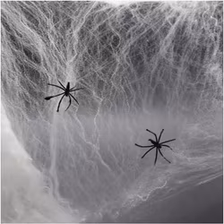 Spindelnät med spindlar