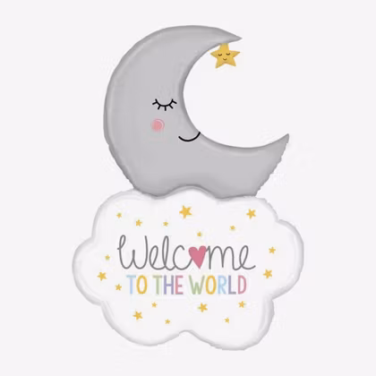 Folieballong - Welcome to the World