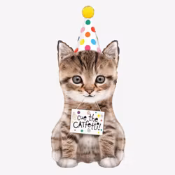 Folieballong - Cue the Catfetti