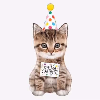 Folieballong - Cue the Catfetti