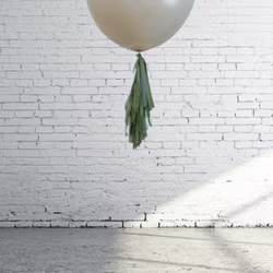 Ballong Tail - Tassel Eucalyptus