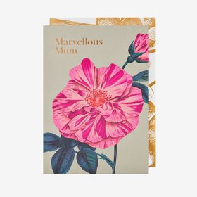 Kort - Marvellous Mum