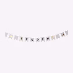 Vimpel - Student