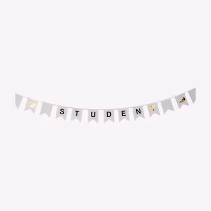 Vimpel - Student