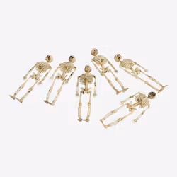 Skelett - 6-pack