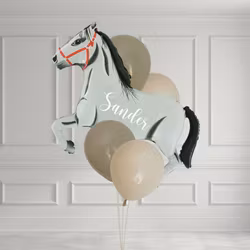 Ballongbukett - Horse Party