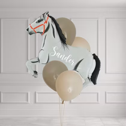 Ballongbukett - Horse Party