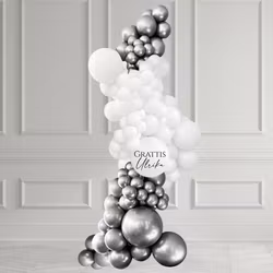 Ballongbåge – Grab & Go Silver Frost