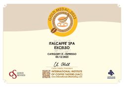 Italcaffè Excelso Bar kahvipavut 250g