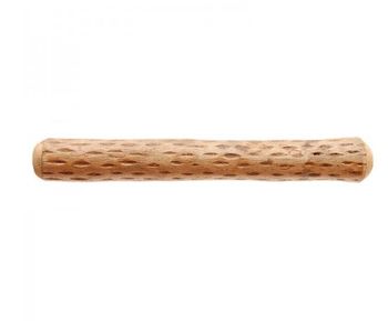 Regnstav, regnrör, kaktus, 50 cm, Chile