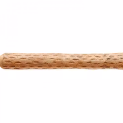 Regnstav, regnrör, kaktus, 50 cm, Chile