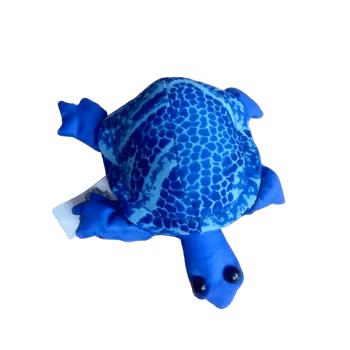 Sanddjur, Liten sköldpadda, blått mönster