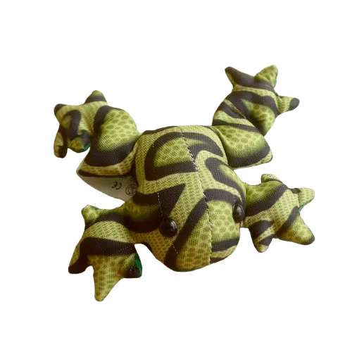 Sanddjur, Liten groda, grön kamouflage.steriliserad sand.