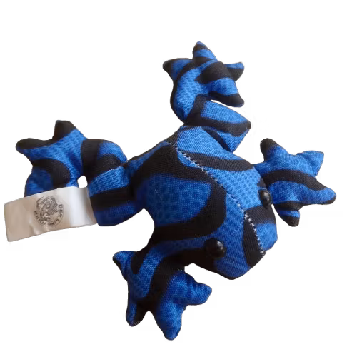 Sanddjur, Liten groda, blå kamouflage. Steriliserad sand.