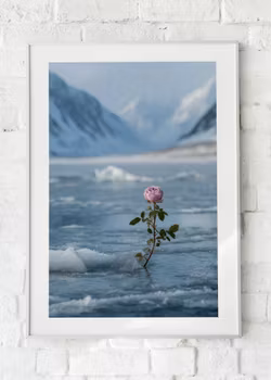 Arctic Blossom