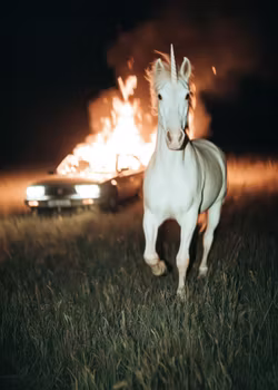 Fairytale Gone Wrong