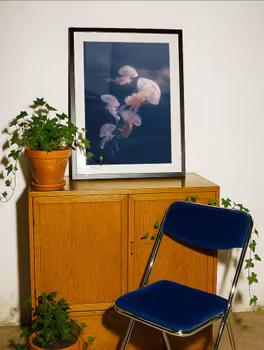 Drifting Like Clouds