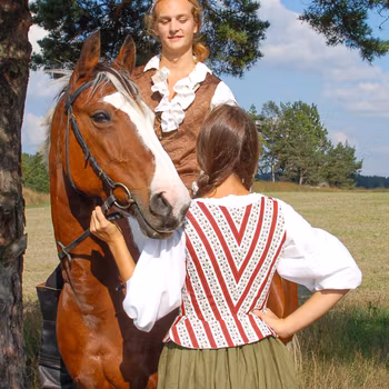 TISTEL röd stuvbit. 0,7 meter