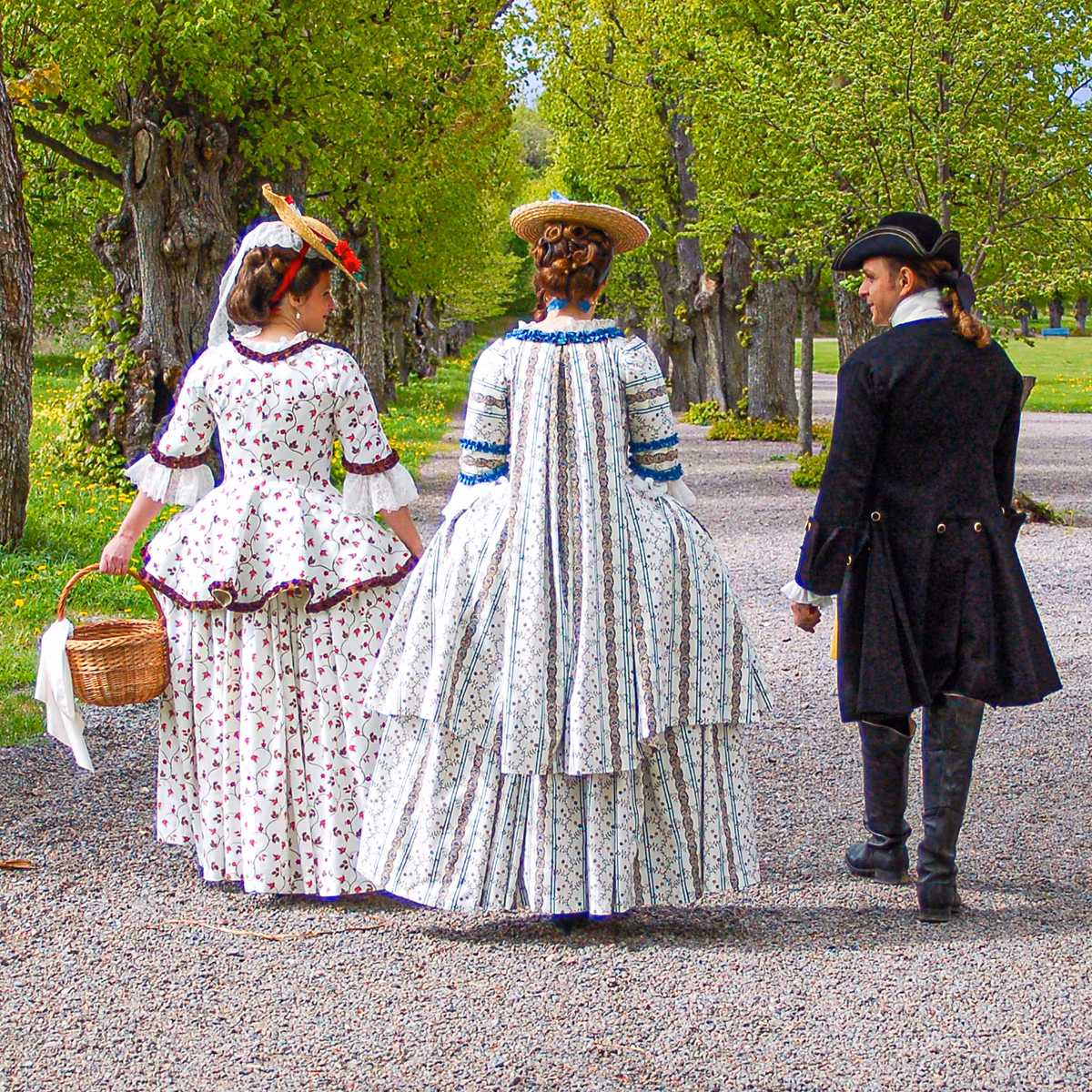 CICORIA blå, stuvbit. 0,46 meter