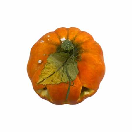 Pumpa Halloween