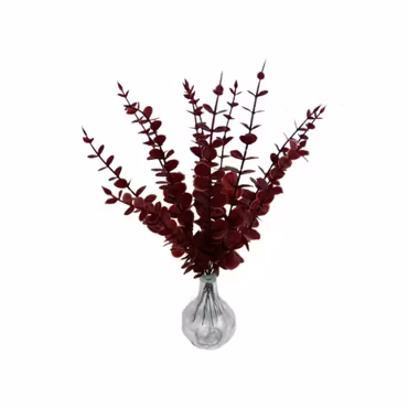 Bladkvistar Eukalyptus 12-pack