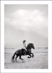 TOVE FRANK || Poster Black